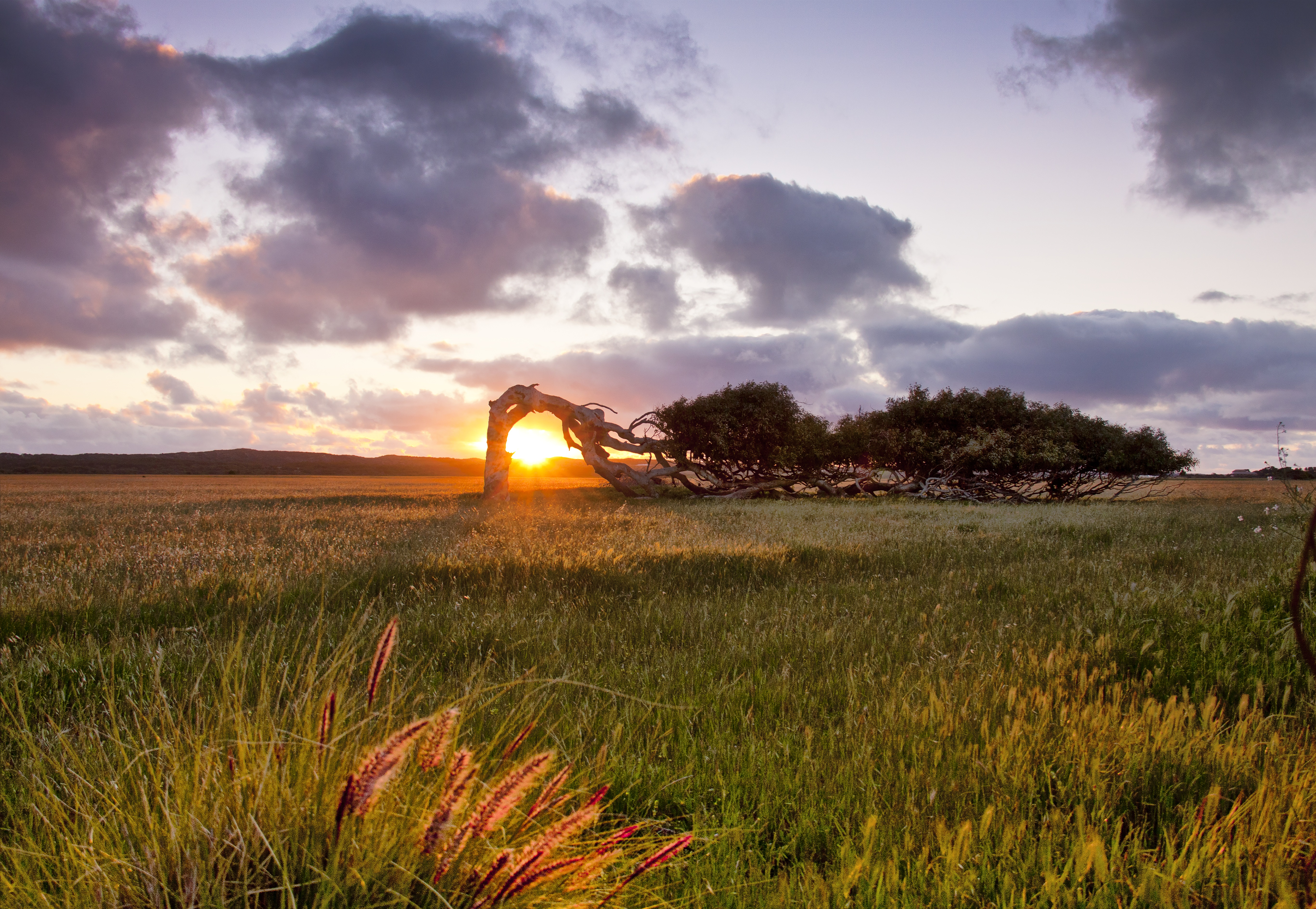 Geraldton landscape photo by Shawn Hayward